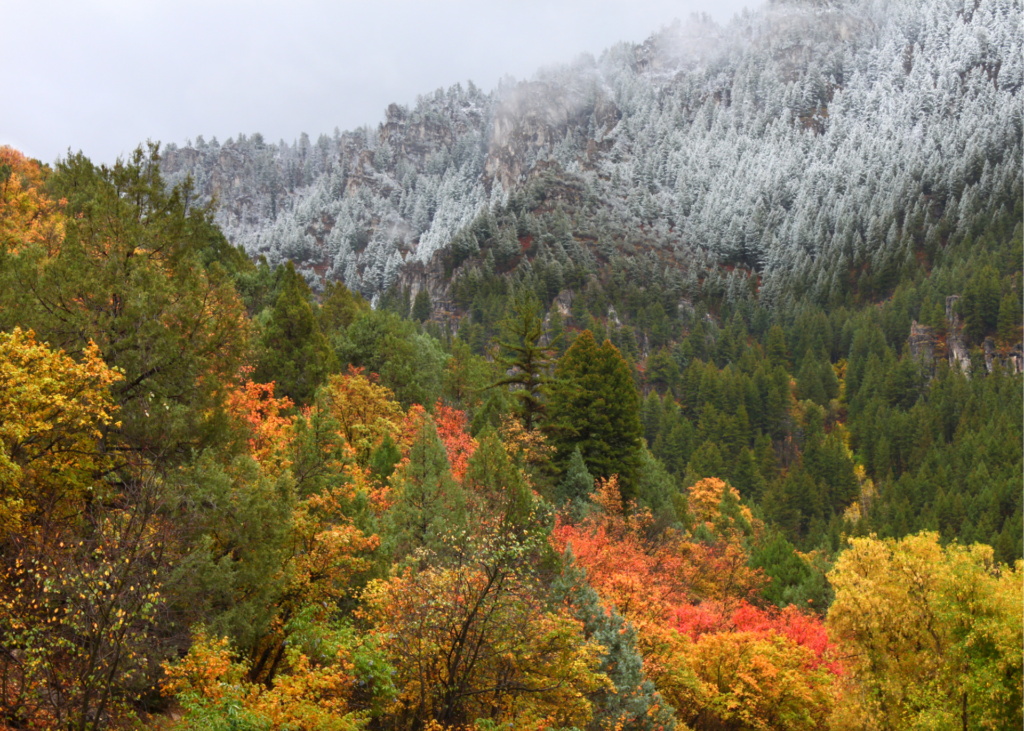 logan canyon